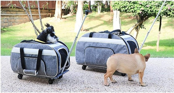 Pet Travel Accessories
