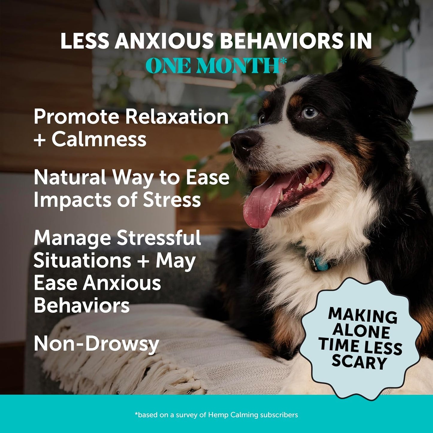 Natural Hemp Calming Chews for Dogs - Calming Aid Supplement for Occasional Anxiousness with Valerian Root, Chamomile, + Magnesium - Stress, Separation & Thunder Support - (Chicken, 90 Count)