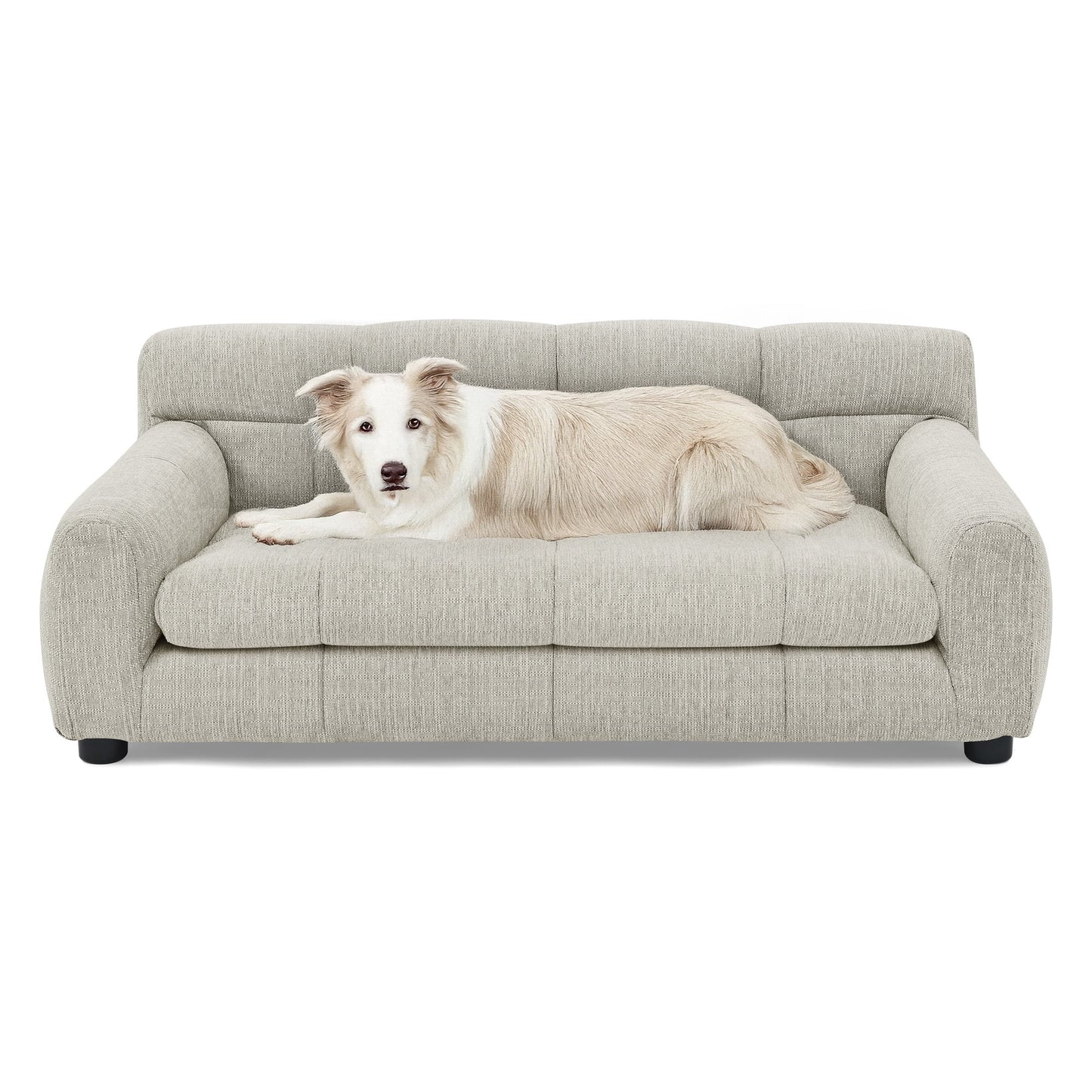 Mona Lisa ~ Soft and Comfortable Pet Sofa with Backrest and Armrests
