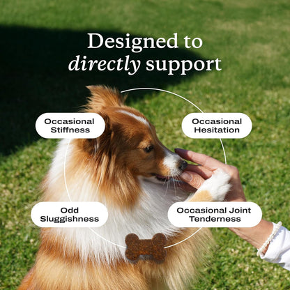 Joint Care Chews - High Levels of Glucosamine for Dogs, Green Lipped Mussels, and Omega 3 - Dog Hip and Joint Supplement to Actively Support Mobility - Packaging May Vary - Salmon