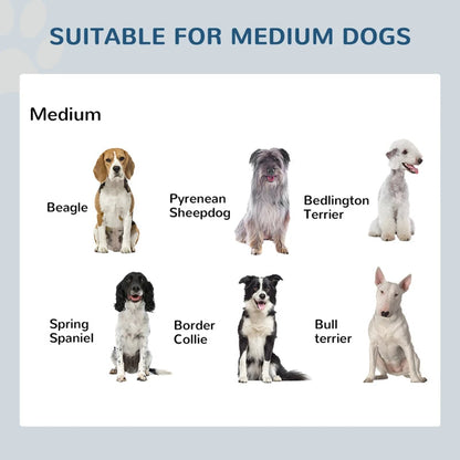Double Stainless Steel Heavy Duty Dog Food Bowl Elevated Pet Feeding