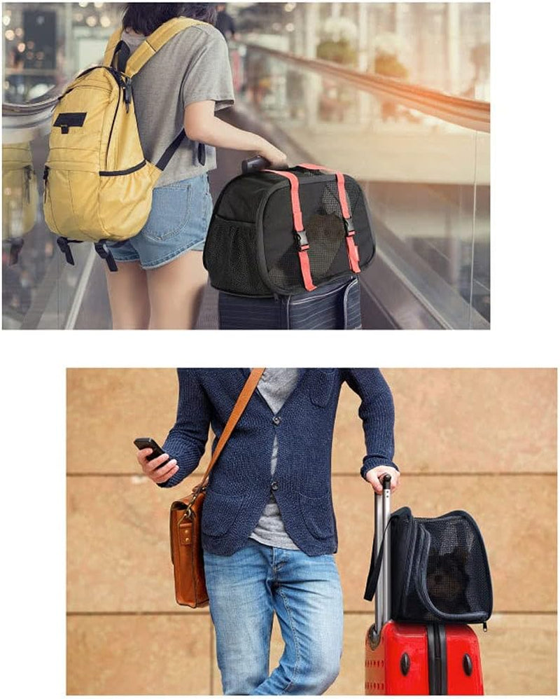 Pet Carry Bag Foldable Pet Backpack One-Shoulder Diagonal Cat and Dog Carrier to Go Out and Convenient Pet Supplies Pet Supplies (Color : C)