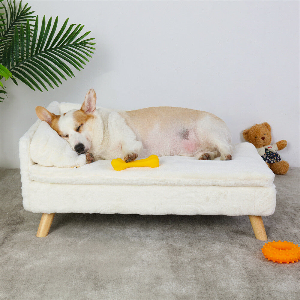 Tanaka ~ Pet Sofa Bed Snuggle Lounge Elevated Dog Cat Bed W/ Cushion for Small/Medium Pet