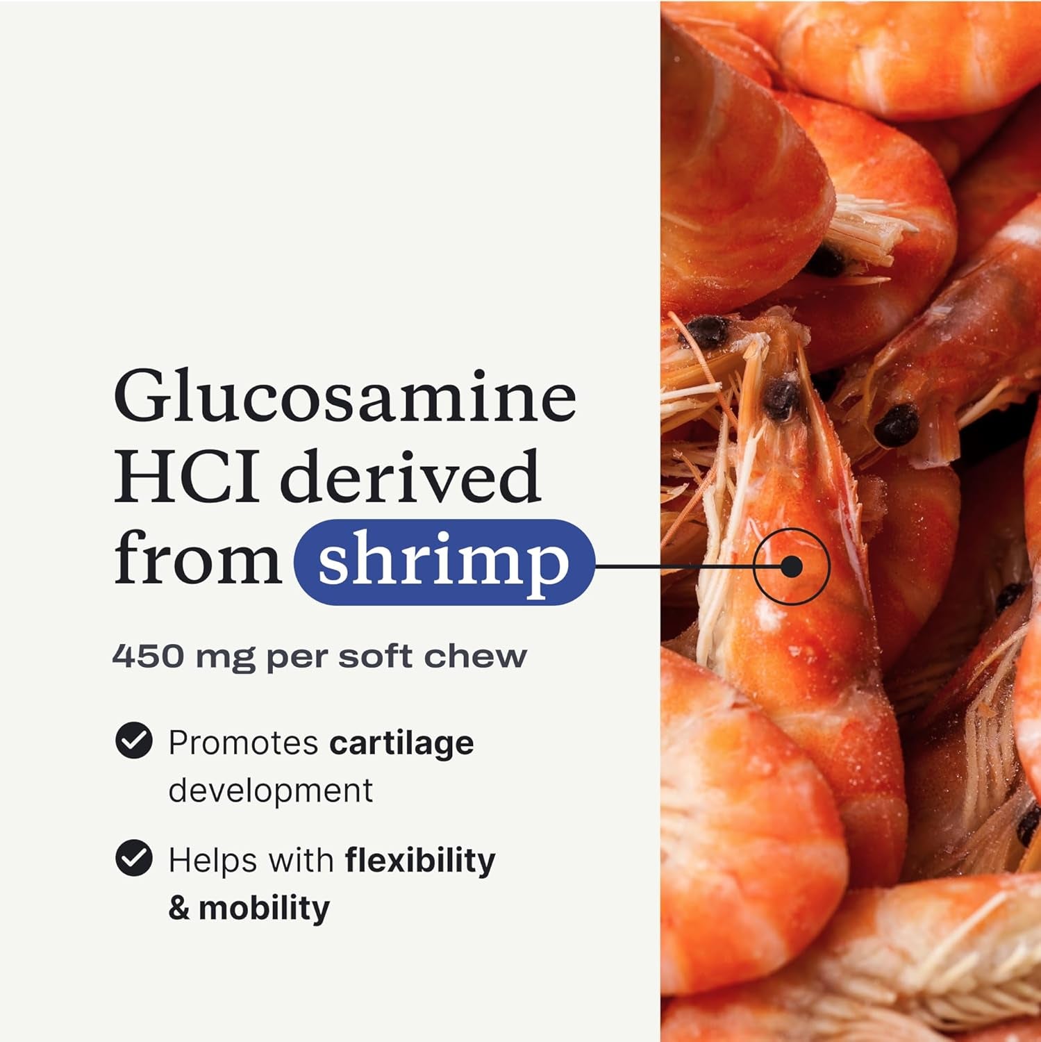 Joint Care Chews - High Levels of Glucosamine for Dogs, Green Lipped Mussels, and Omega 3 - Dog Hip and Joint Supplement to Actively Support Mobility - Packaging May Vary - Salmon
