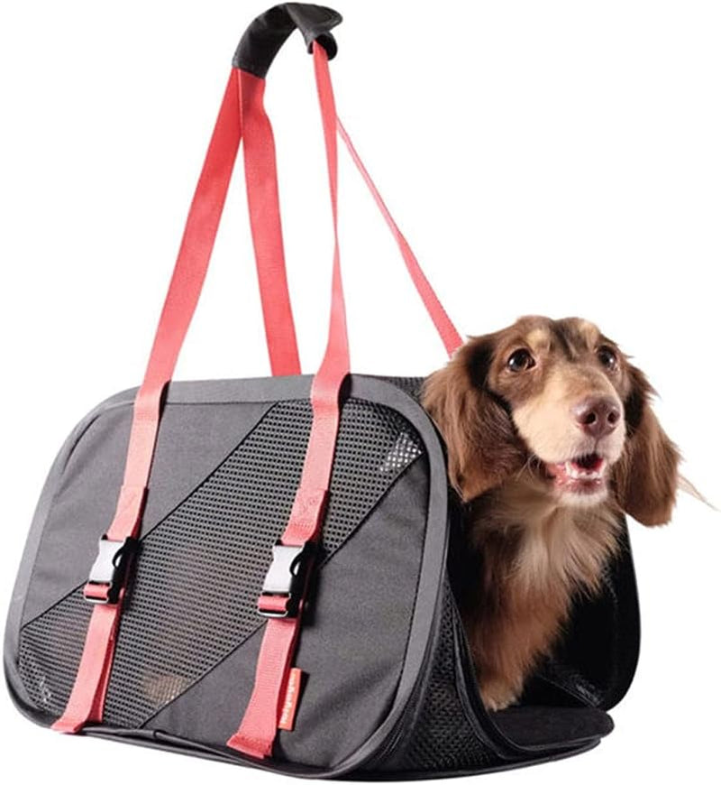 Pet Carry Bag Foldable Pet Backpack One-Shoulder Diagonal Cat and Dog Carrier to Go Out and Convenient Pet Supplies Pet Supplies (Color : C)