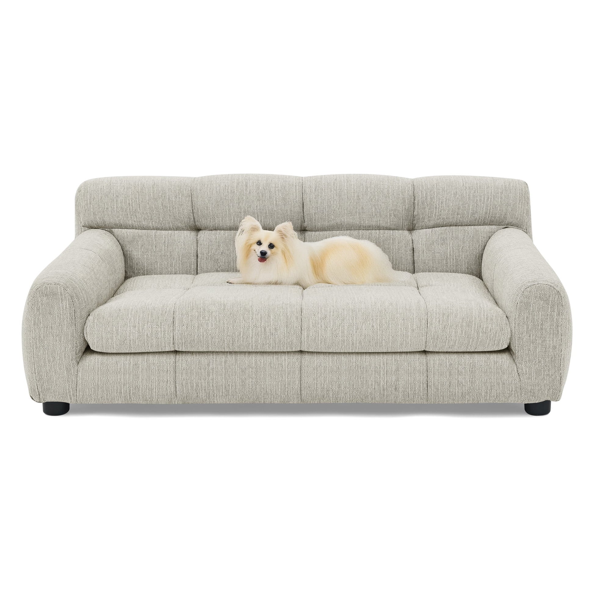 Mona Lisa ~ Soft and Comfortable Pet Sofa with Backrest and Armrests